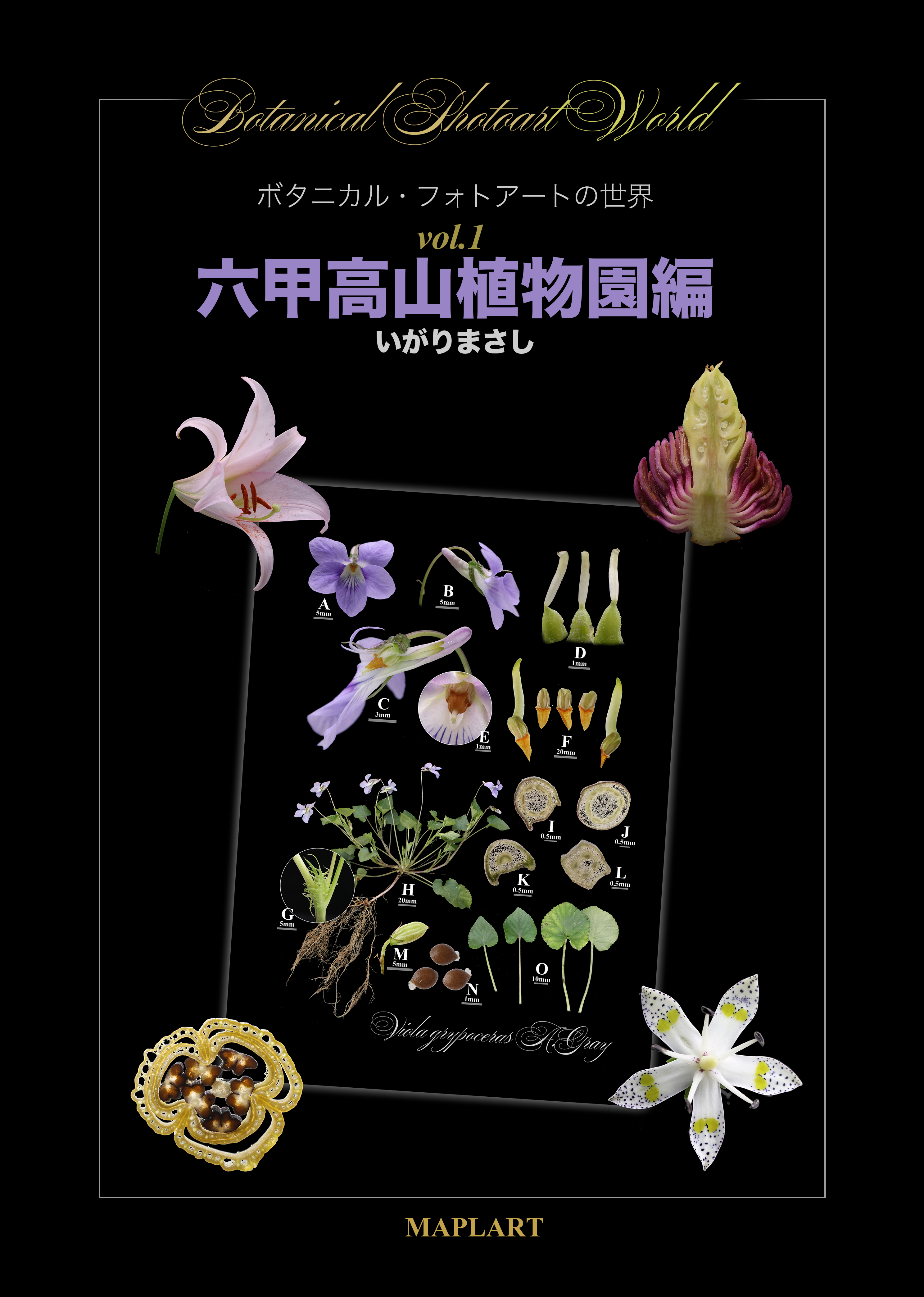 ボタニカル・フォトアートの世界 vol.1 六甲高山植物園編のカバー見本