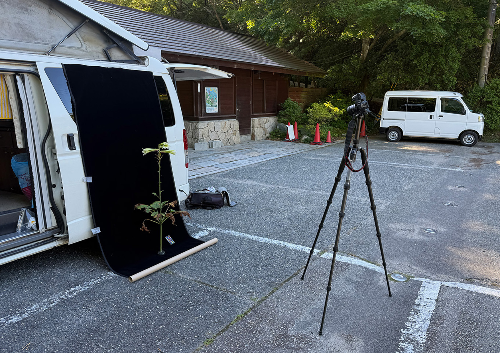 六甲高山植物園での植物撮影の様子